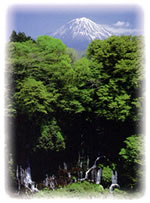 富士山の深層水(富士山天然水)